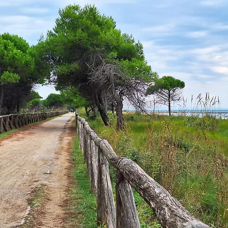 Adorable For 8 People Close To The Sea