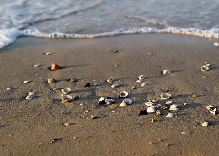 Adorable For 8 People Close To The Sea Bibione