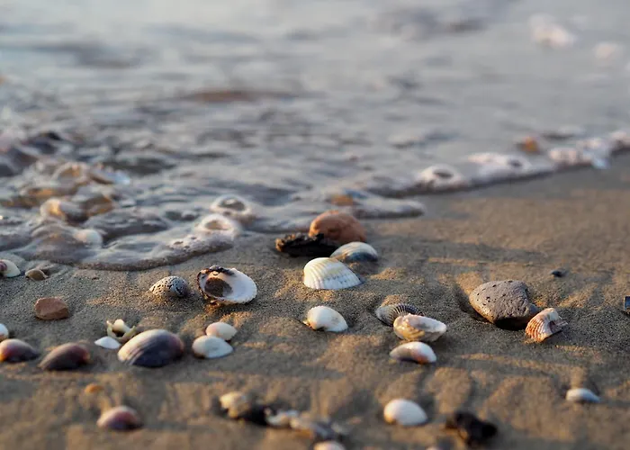 Appartement Adorable For 8 People Close To The Sea